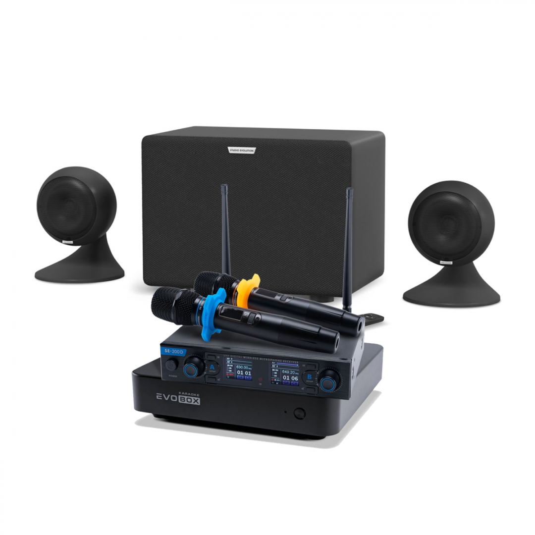 караоке-комплект EVOBOX + EvoSound Sphere 2.1 в Канске