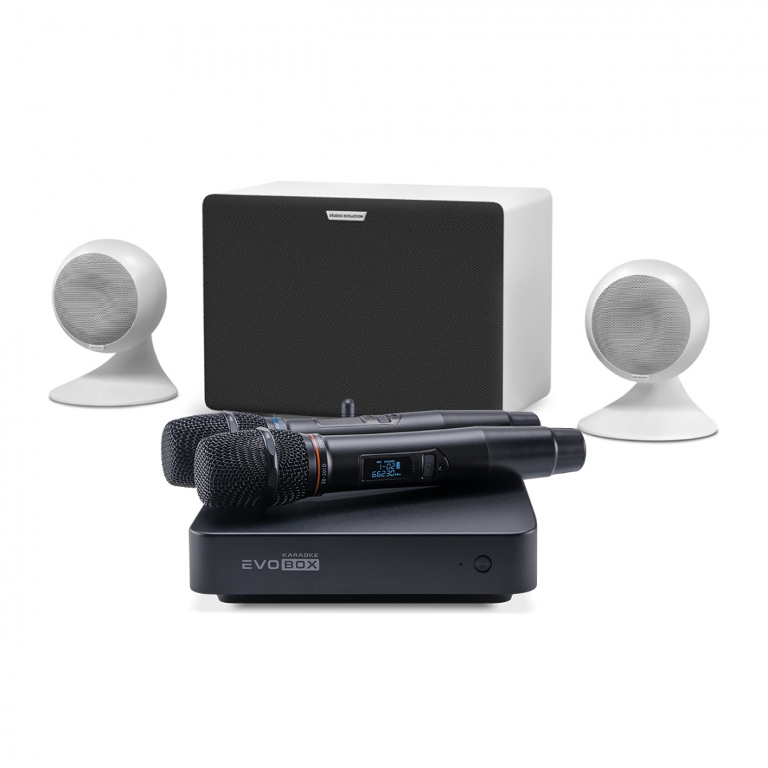 караоке-комплект EVOBOX Classic + EvoSound Sphere 2.1 в Канске