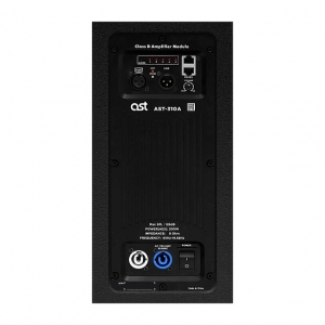 Активная акустическая система AST-310A в Канске