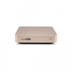 EVOBOX с микрофонами в Канске